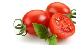 西红柿爆料人员是谁啊视频,真相大白！